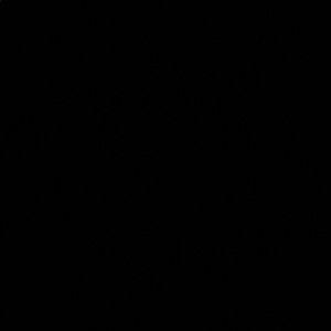 Meet your Posher, Brenae